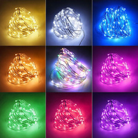 USB LED String Lights Copper Wire Fairy Warm White Garland Home Christmas Wedding Holiday Party Decoration