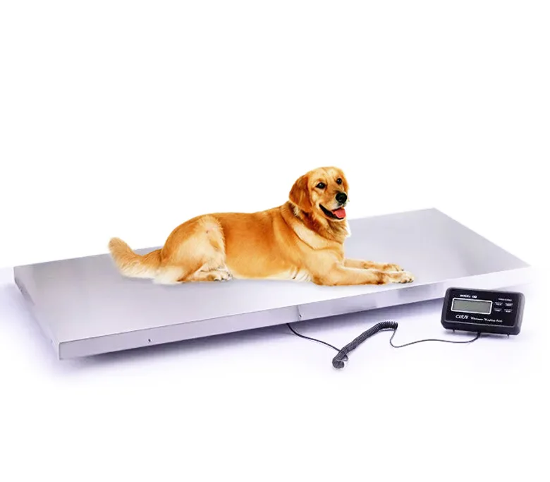 High Accuracy Digital Animal Scale Veterinary Pet Stainless Steel Platform Scale 500kg 103*52cm For Pet Hospital Clinic