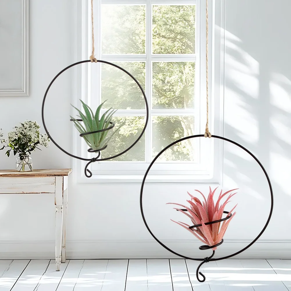 Vertical Garden Mounts As Shown Air Plant Hangers Vibrant Display Design Robust Metal Construction Modern Elegant Aesthetic