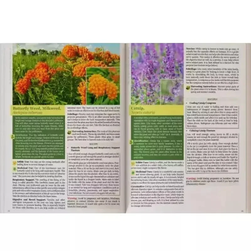 Il Libro Perduta di Erbe e Remedi Naturali II - Formato A5