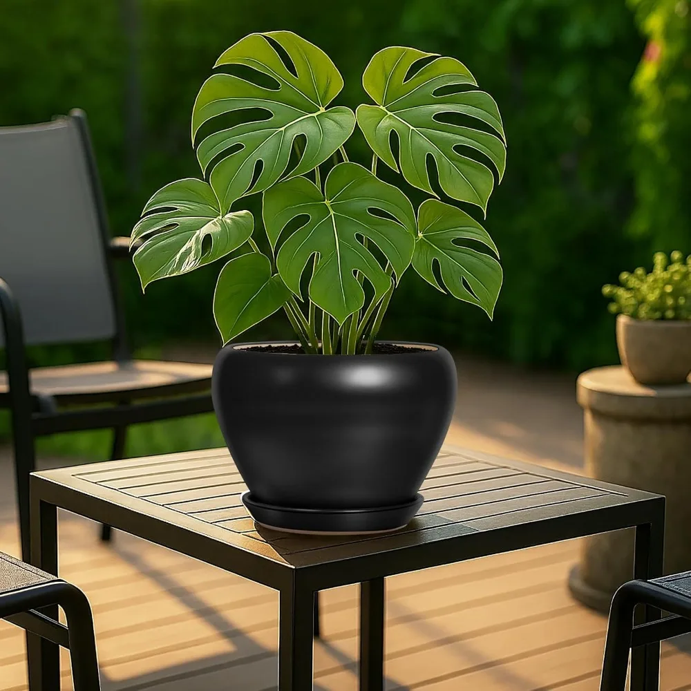 

8 Inch Ceramic Plant Pot with Drainage Hole & Tray, Modern Round Flower Planter for Indoor Outdoor Garden Decor