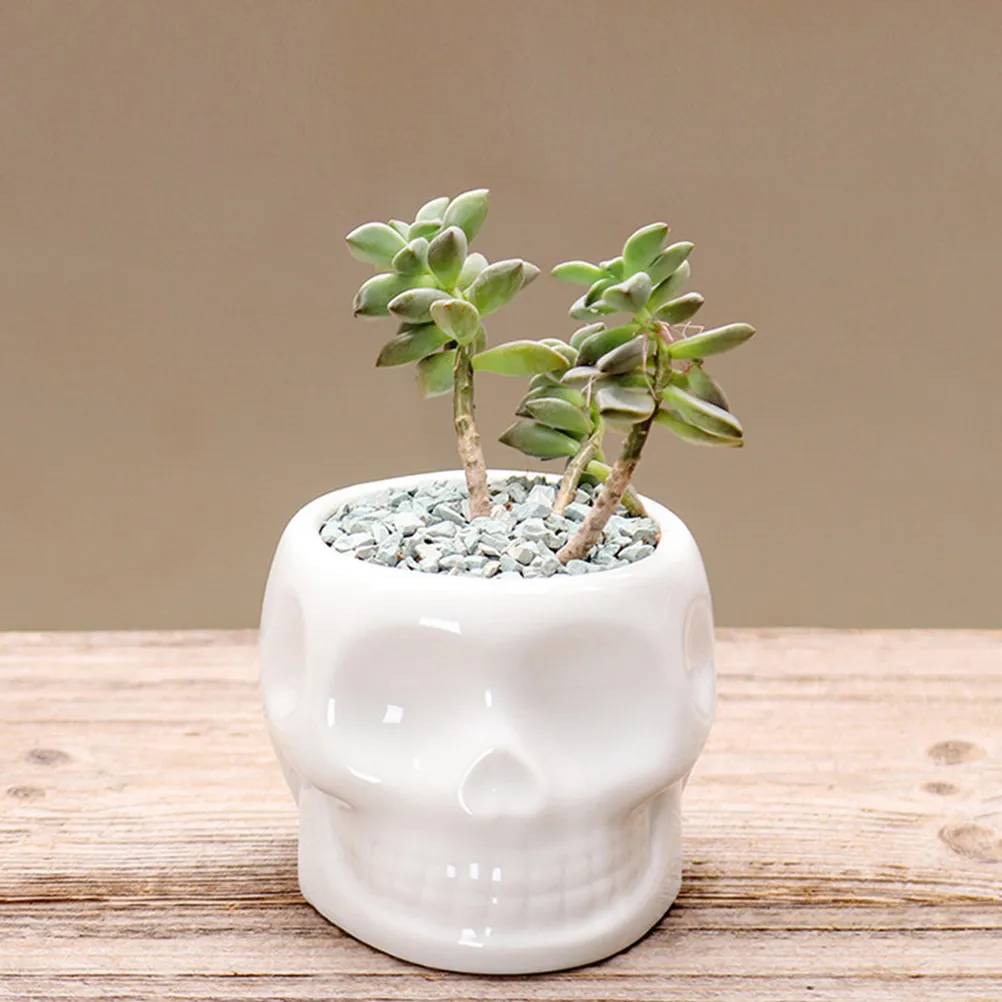 1Pcs High Quality Ceramic Skull Planter for Succulents and Cacti Small Flower Pots Home Office Window Sill Bookshelf Cabinet