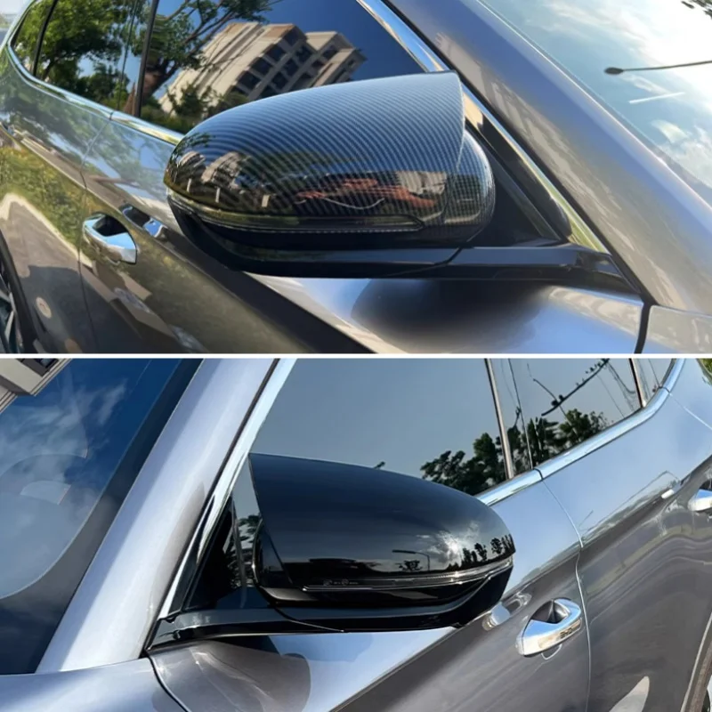 Rear View Mirror Protective For BYD Song Plus pro  DMI EV Yuan Plus Atto 3 2021-2025 Side Door Rearview Turning Mirror Cover