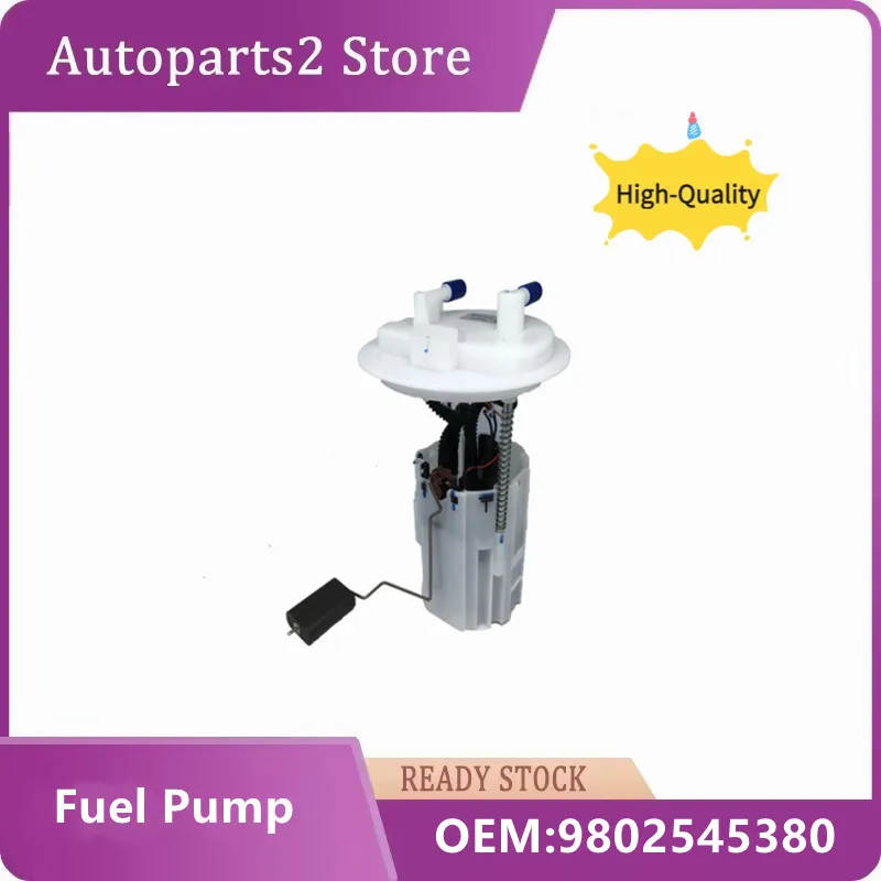 

9802545380 Fuel Pump Assembly For Peugeot 408 C4L