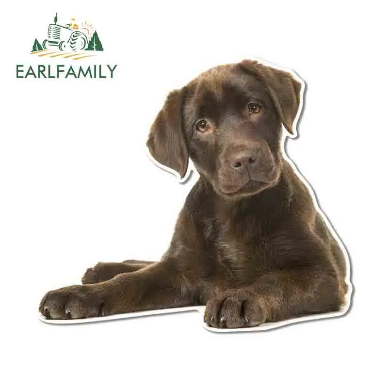 Earlfamily 13Cm X 1…