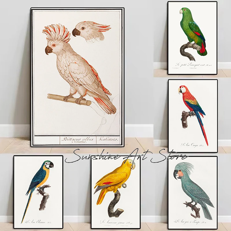 Parrots Antique Bir…
