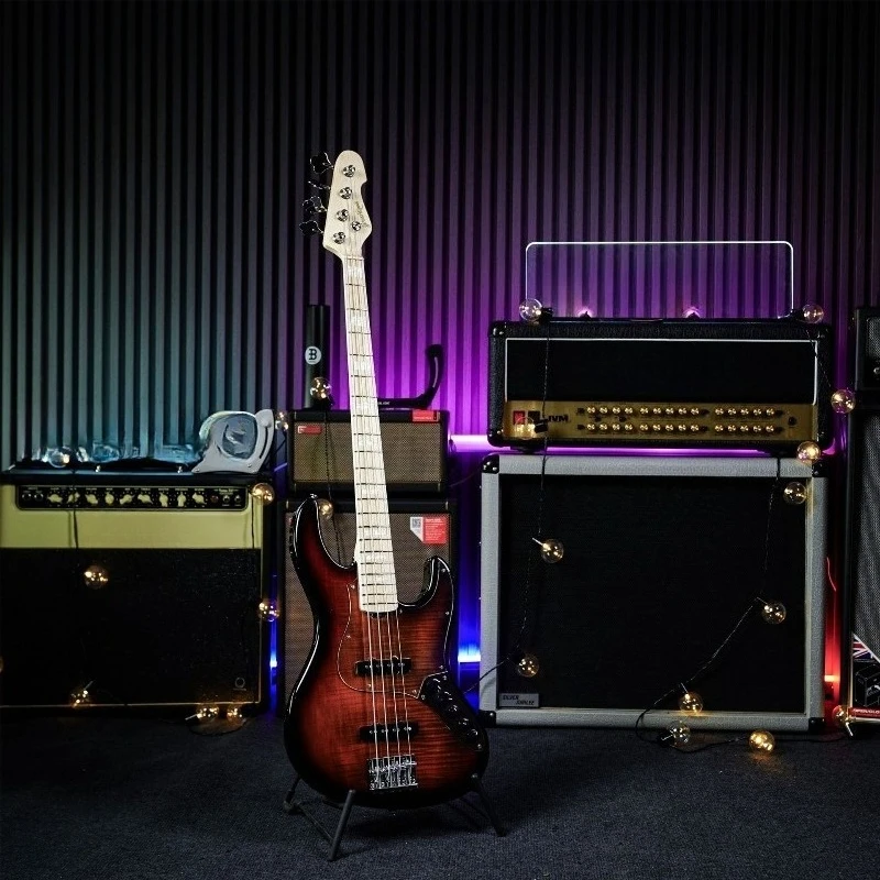 

Electric bass entry advanced, active circuit