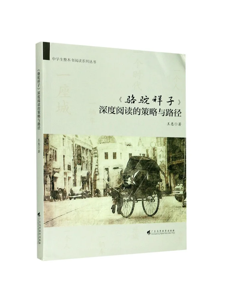 

Книга — Стратегии и подходы для глубокого изучения «Луо Туо Сянцзы»