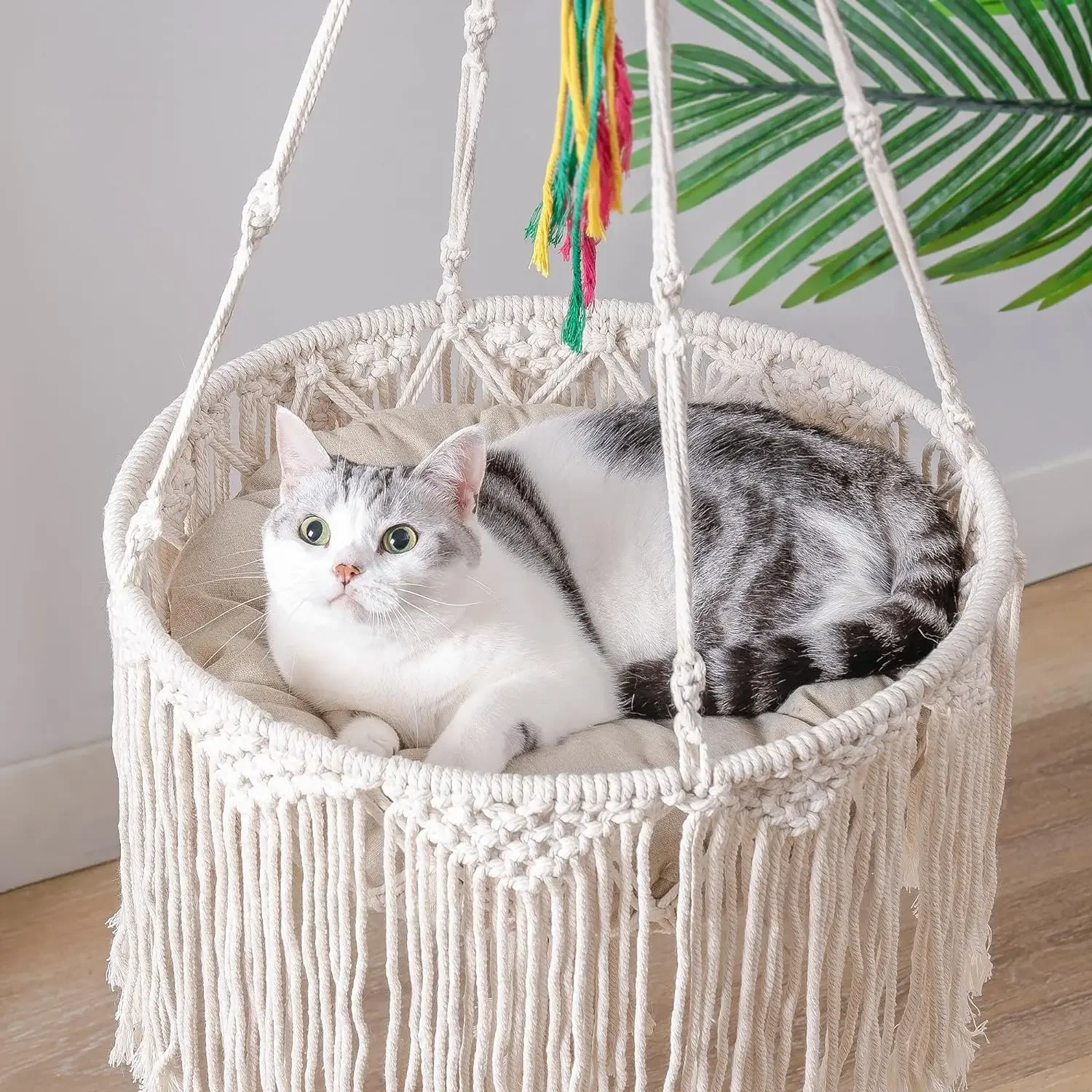 For MEWOOFUN Macrame Cat Hammock Cat Wall Furniture Hanging Cat Bed for Indoor Cats Swing Bed for Sleeping/Playing