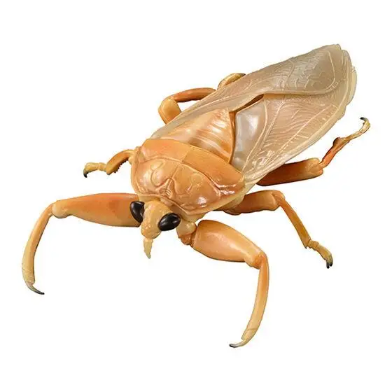 BANDAI Simulated Biological Atlas Gashapon Insect model Lethocerus Belostomatidae Action Figure Collect Model