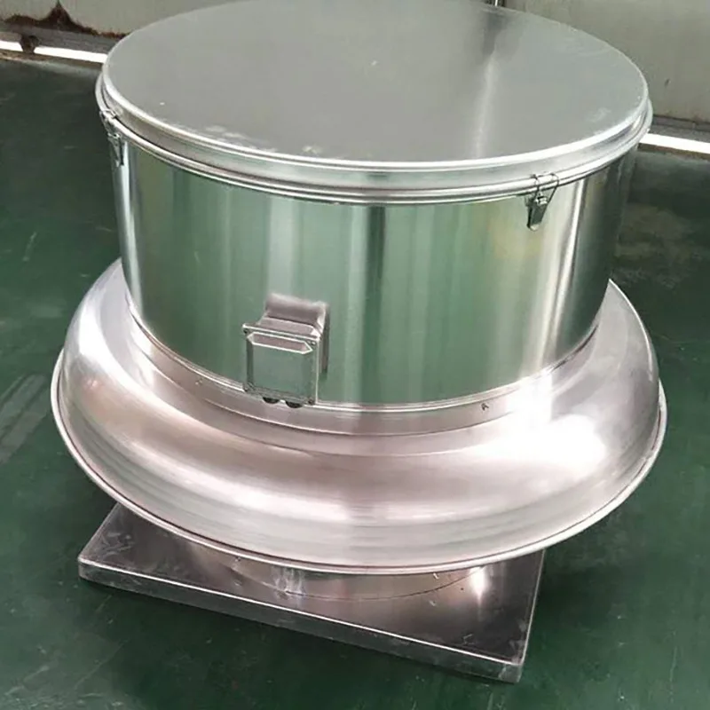 

High temperature smoke roof exhaust fan for fireplace kitchen cover Industrial chimney exhaust fan Premium