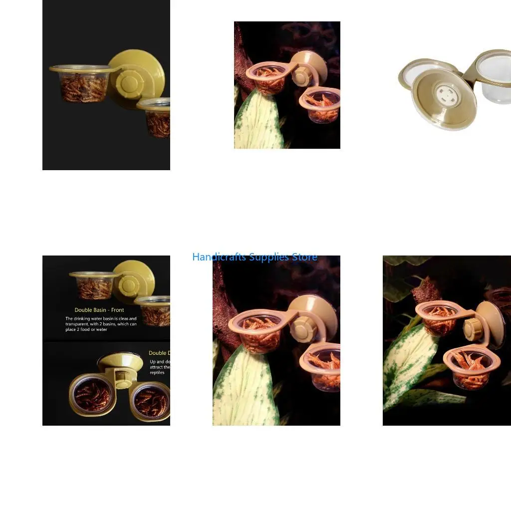 R1WA Small Suction Cup Feeding Double Cups Feeding Dish Crested