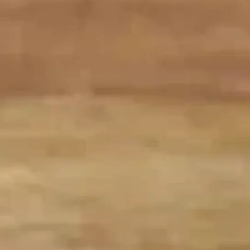 

Natural Sandalwood Hair Combs Anti-Static Wooden Comb Massager Long Wide Tooth Detangle Sandalwood Comb Hair Care Household Gift