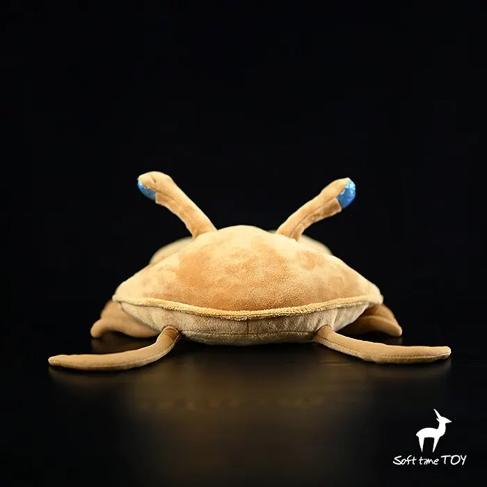 Palaeo-animals series simulated Karavelski trilobite Knickknack,nicknack,Small ornaments and miniature models