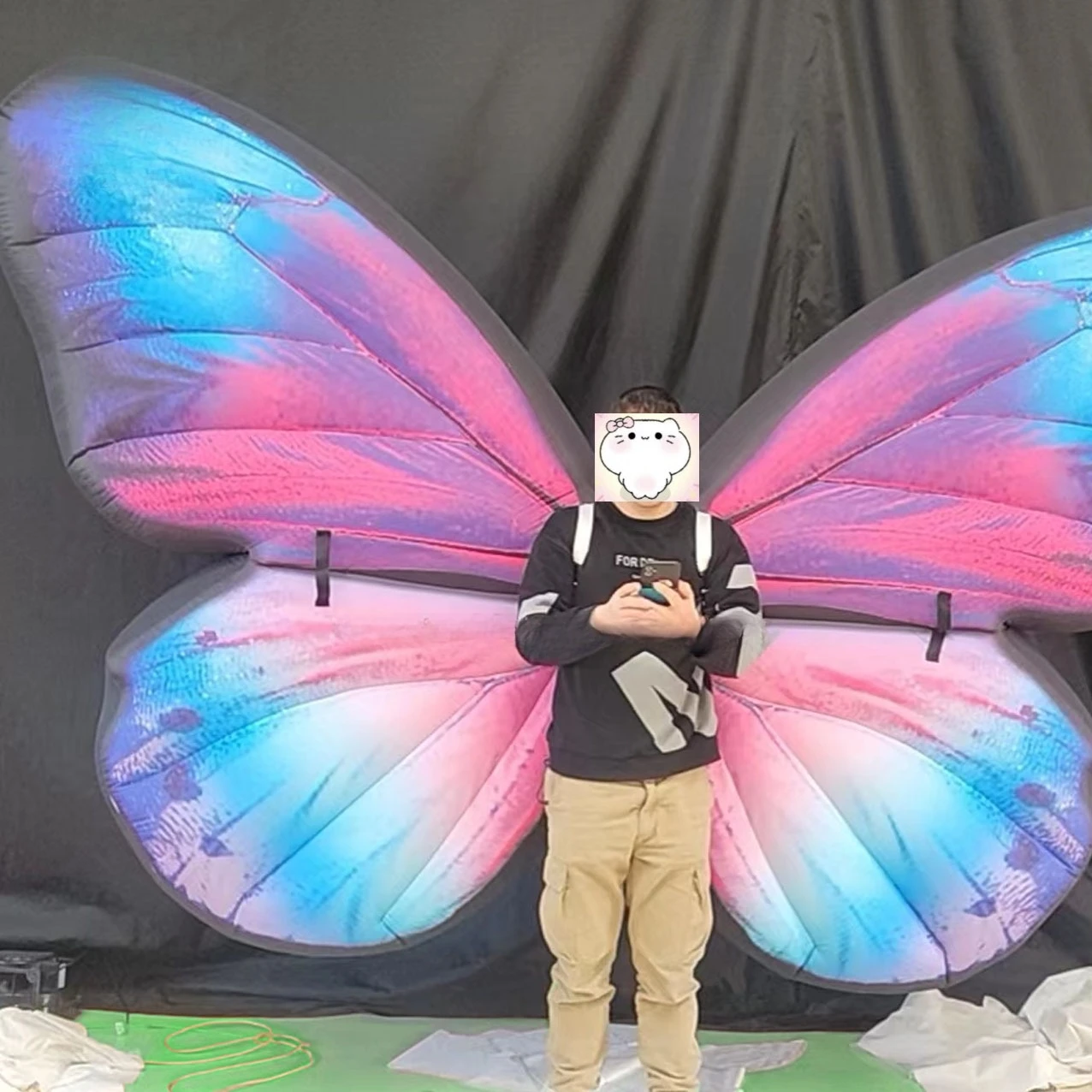 Butterfly inflatable model suitable for parade display