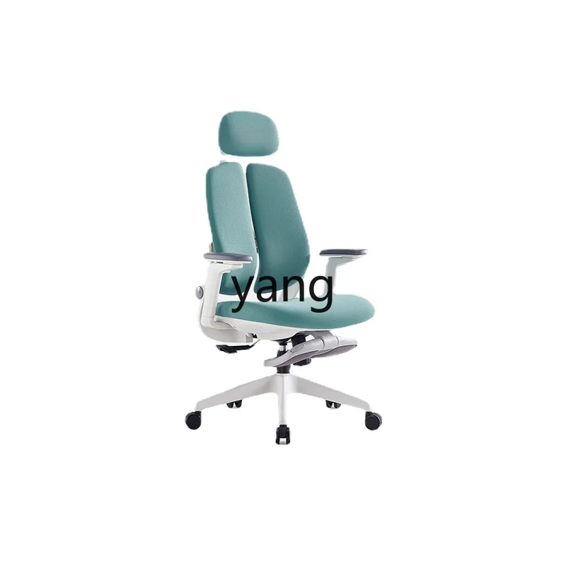 LTT Computer Ergonomic Chair Back/Waist Support Can Lie down for a Long Time and Lift Swivel Chair Home Boss Office Seating