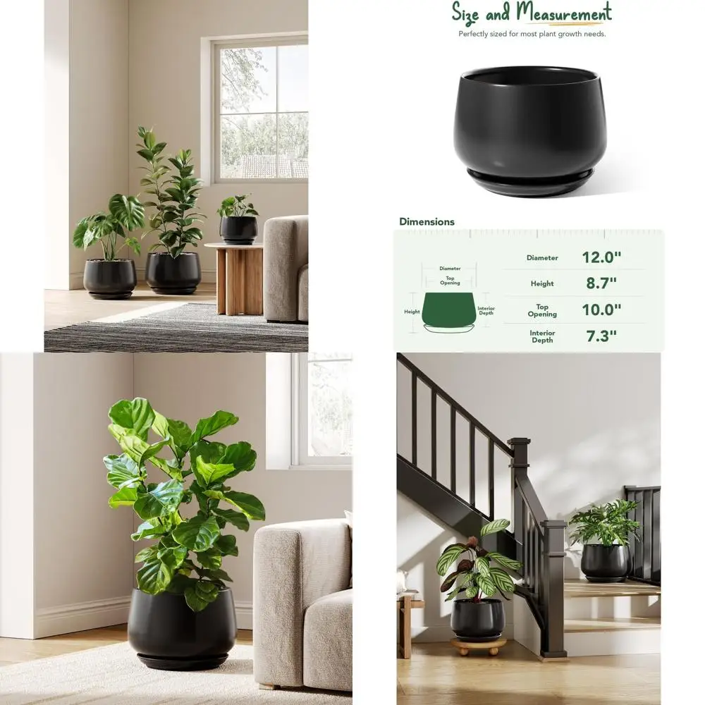 Le Tauci Ceic Plant… - image