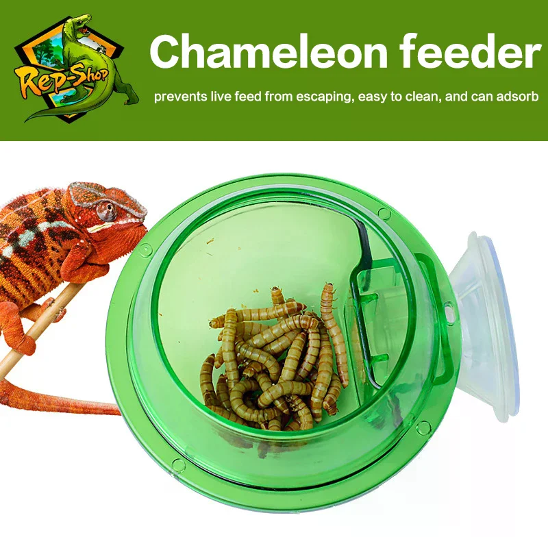 1pc Arboreal Reptile Live Anti-escape Sucker Feeder Bowl Insect Worm Food Container For Lizard Gecko Chameleon Reptile Pet Bowl