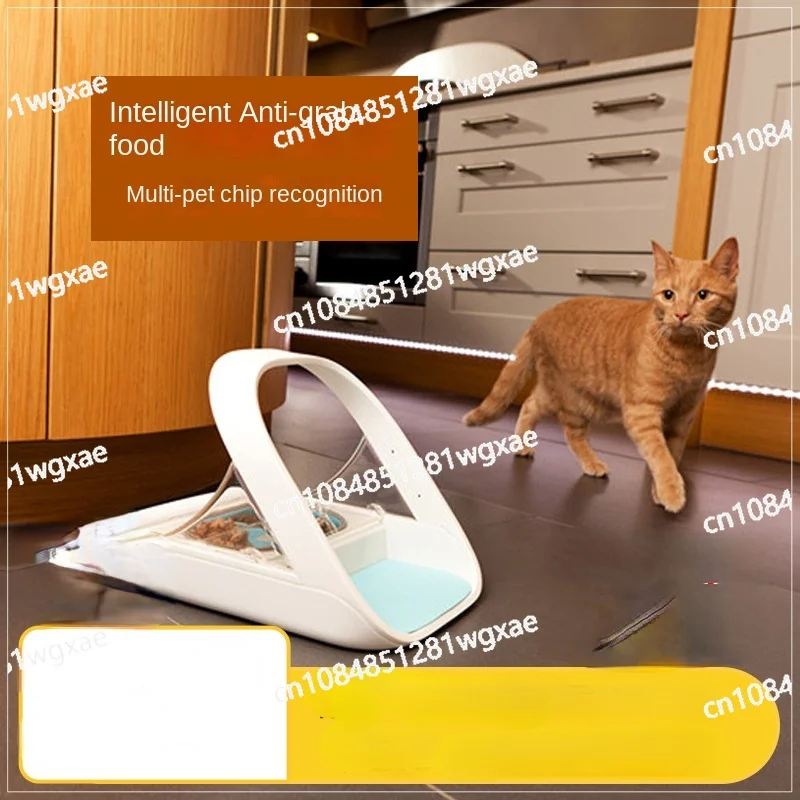 

Induction Type Fully Automatic Pet Feeder for Wet Food Preservation and Insect Prevention in Pet Cat Bowls