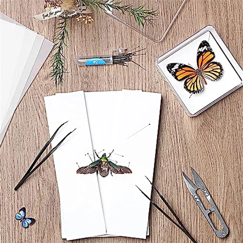 مجموعة أدوات صنع عينات الحشرات TA، دبابيس الحشرات، لوح تثبيت الحشرات، ورق الضغط على الأجنحة، ملاقط، مقص، علبة العرض