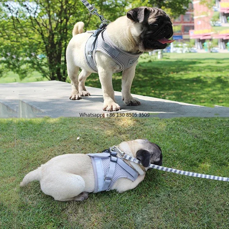 

10pcs Manufacturer Wholesale Breathable Red Black Blue Grey Nylon Pet Dog Reflective Harness