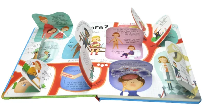 Questions And Answers About Your Body, Children's books aged 3 4 5 6, English Popular science picture books, 9781409562108