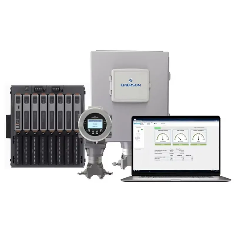 100%   FB2200 Multi-Run Field Mount Flow Computer For  And Liquids