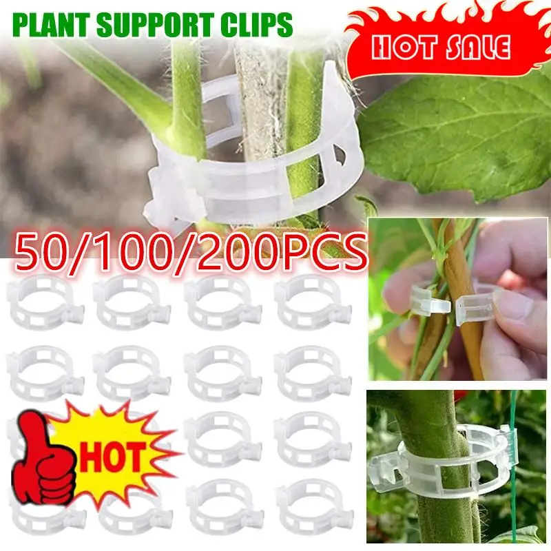 

50-200 Plant Clips Supports Reusable Plastic Connects Fixing Vine Tomato Stem Grafting Vegetable Plants Orchard and Garden Tools