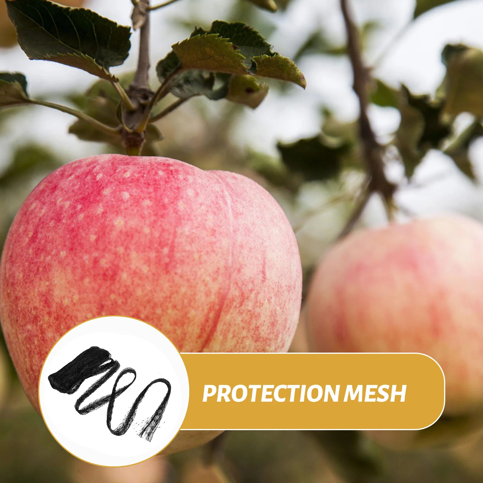 

Anti Bird Net Fencing Mesh Garden Protection Lightweight Durable PE Material Fine Mesh Long Life Sun Weather Resistant Fruit