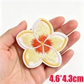 PE17080CT