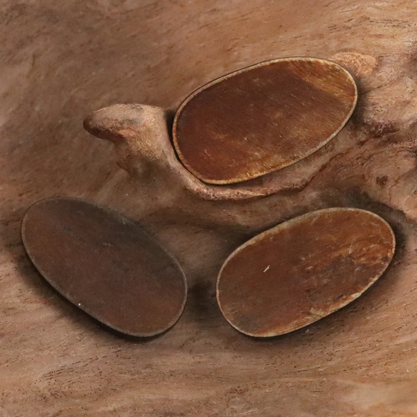 SOJO Material de costura DIY vintage hecho a mano, con botones decorativos de cuerno de toro y diseño de calabaza amarilla quemada, para abrigos y chaquetas