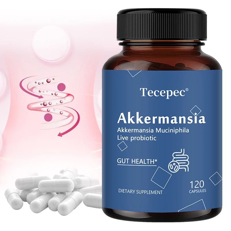 Akkermansia Probiotic, Gut Health Support Supplement | Contains Akkermansia Muciniphila – Enhances Nutrient Absorption