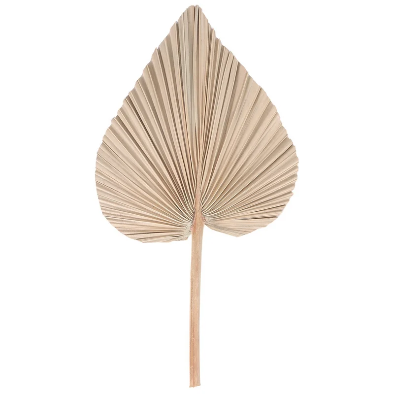 

AB35-Dried Palm Leaves Room Decor 30 Pieces - 18Inch H X 10Inch W Large Natural Palm Leaf Decor For A Beautiful Boho Look