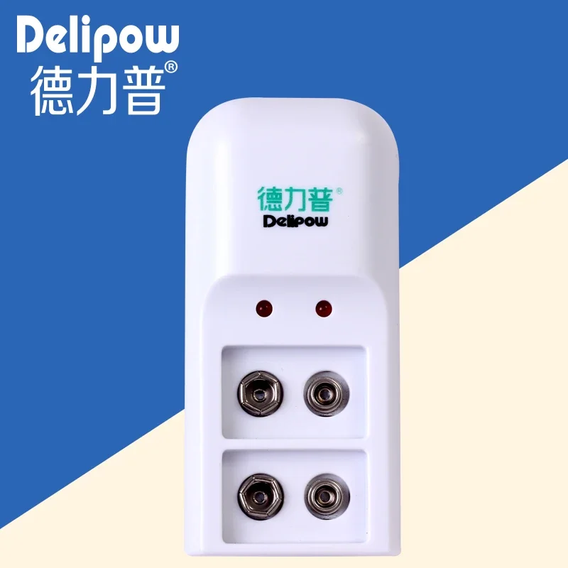 New Delipow Battery Charger 9V 9V Rechargeable Battery Charger Double Charge Nine Volt Battery Charger 009 Rechargeable Li-ion C