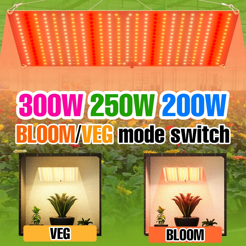 

300W Full Spectrum LED Plant Grow Light Sunlight 220V Quantum Board Seeds Cultivation Lamp Greenhouse Hydroponic Vegs Growth Box