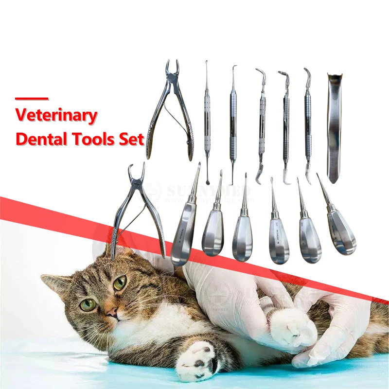 

SY-W064 Veterinary Den-tal Instruments Examination Tools Set of Animal Mouth Health Care Equipment