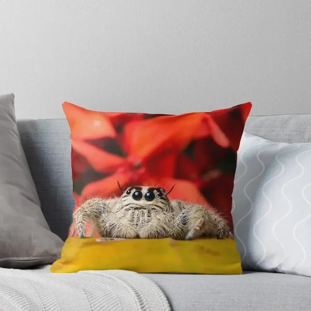 Cute Jumping Spiders Macro of Hyllus Species Jumping Spider Throw Pillow Pillow Cases Decorative Cover For Living Room pillow