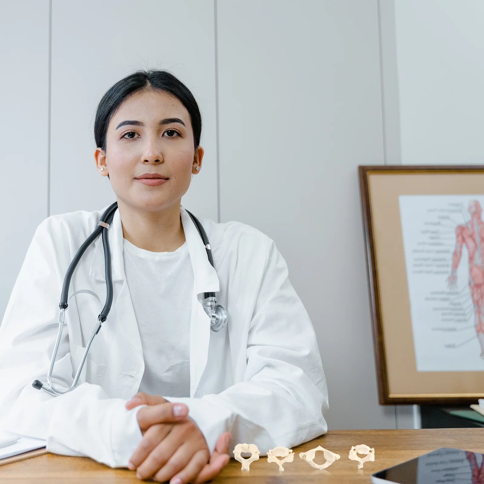 Human Anatomy Model Model Anatomy Model Model Cervical Anatomy Model Model 1:1 Medical Cervical Vertebra Model for