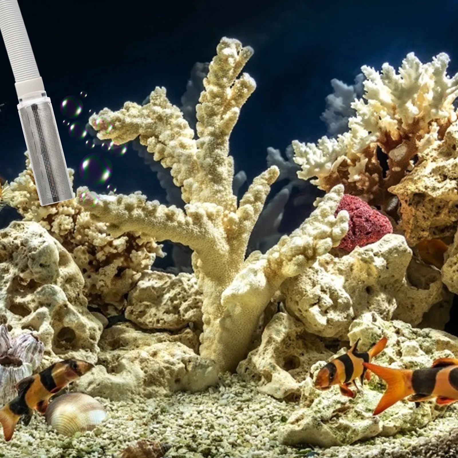 

1Pcs Filter Protective Cover for Fish Tank Rust Resistant Mesh Screen Prevents Debris Intake Suitable Waterfall Filters