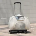 Trolley bag (beige)