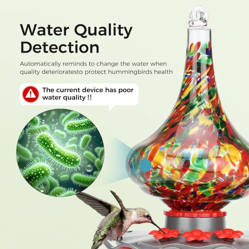 Стеклянная умная кормушка для колибри с камерой, Идентификация AI на солнечной энергии, обнаружение воды, герметичный муравей, Alexa Google