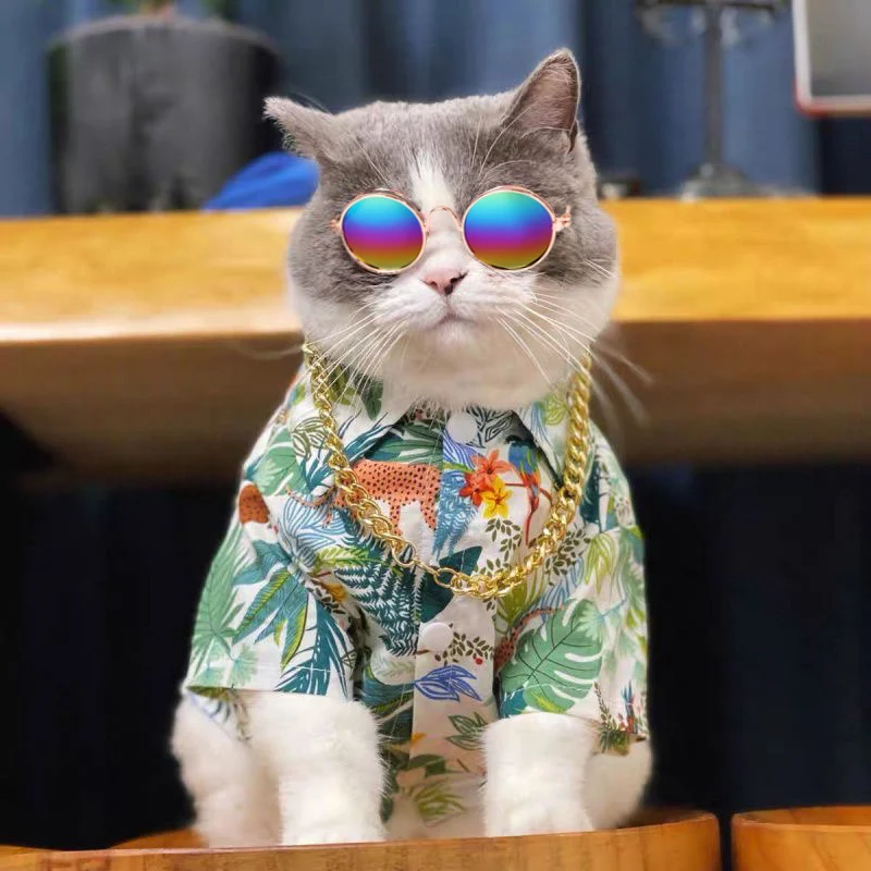 Наряд Для Собаки В Тропическом Гавайском Стиле С Солнцезащитными Очками И Ожерельем Из Искусственного Золота