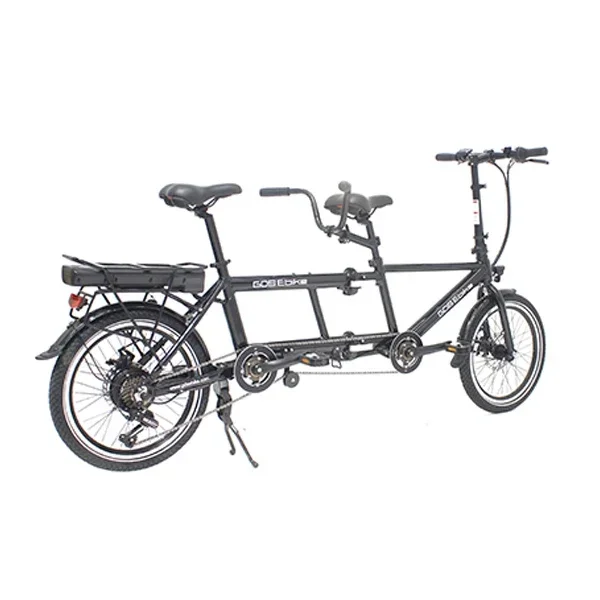 Foldable Family Ebike Electric Bicycle Hidden Battery 2 Person Pedal Tandem Ebike For Adults Electrical Bike