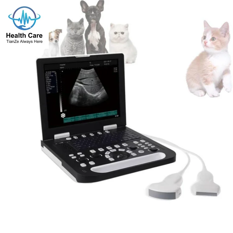 Mindray DP-50  Veterinary Portable Ultrasound Machine Diagnostic Imaging Portable B&W Veterinary Ultrasound Machine Good Quality