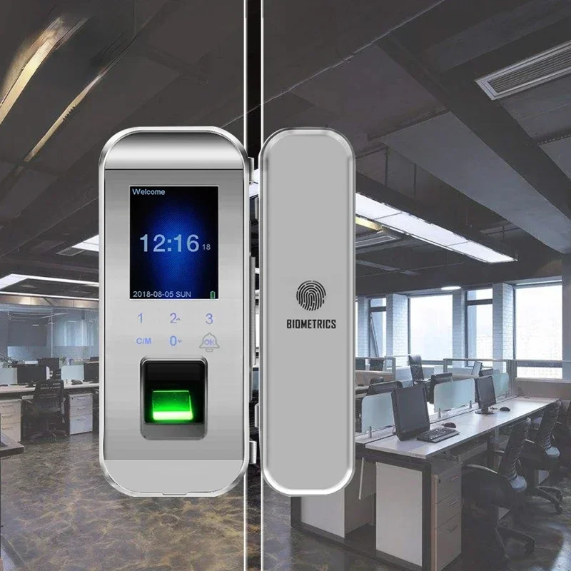 Hot SalesBiometric Fingerprint Smart Glass Door Lock For Swing Frameless Glass Door