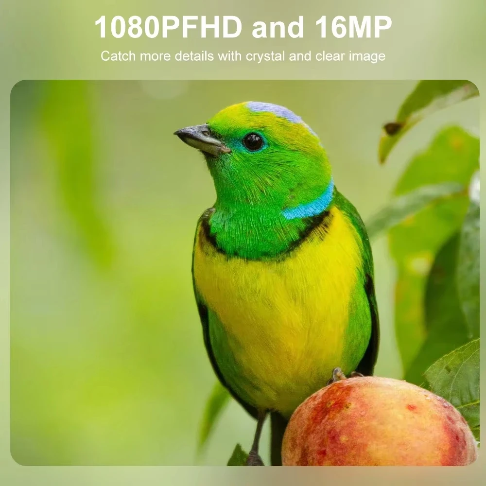 Thumbnail 3 - #18 Compare Trail Cameras Before You Buy