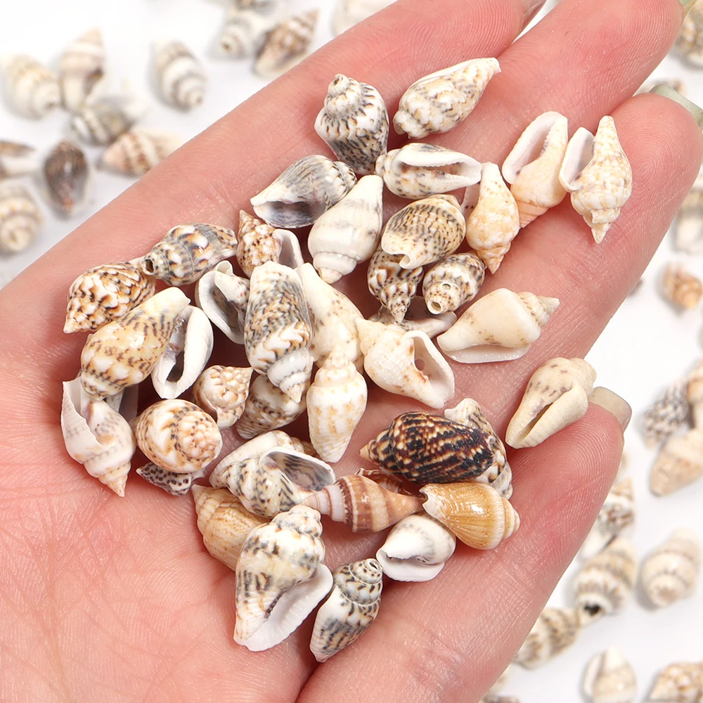 30g/lot 7-12mm Flower Snail Shell Beads Loose Spacer Bead For DIY Jewelry Making Charm Bracelet Necklace Keychain Accessories view 3