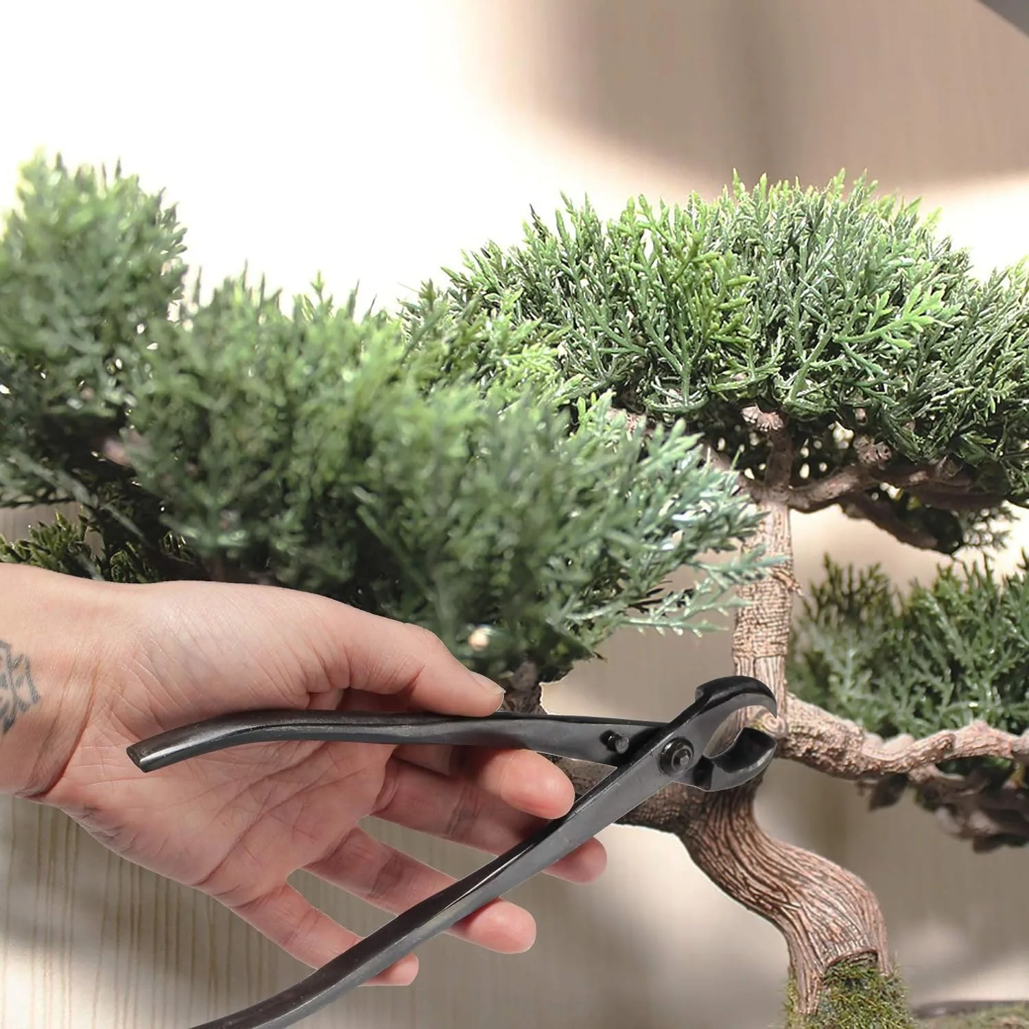 Imagem -03 - Bonsai Branch Cutter Scissors Joint Shear Tree Clippers Parts Garden Shears Bonsai Tool For Garden Knob Cutter Tool
