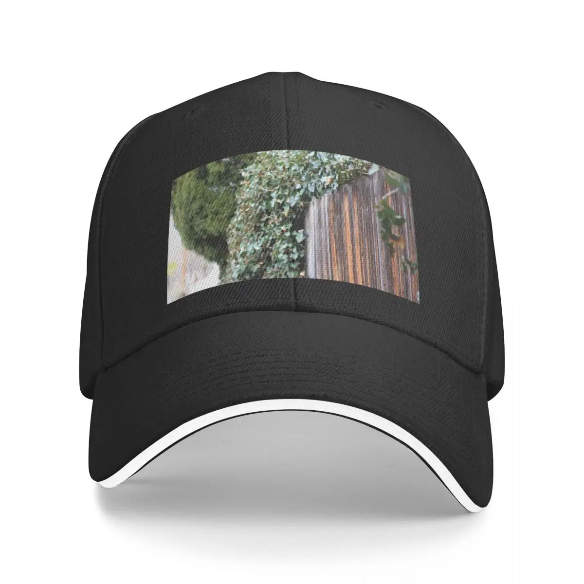 Back Alley Fence Baseball Cap Hat Man For The Sun New Hat Caps For Men Women's