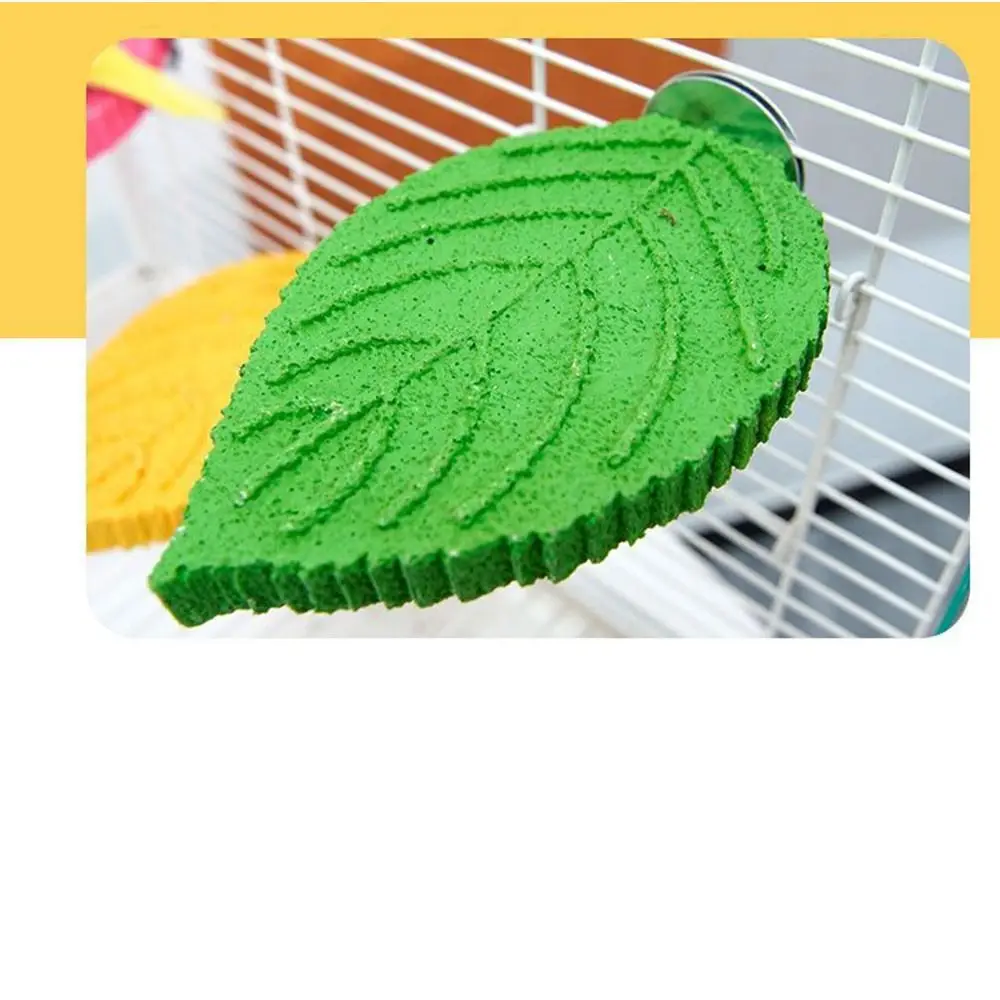 Resin Parrot Claw Grinding Perch Screw/Suction Cup Wear-resistant Parrot Biting Stand Non-slip Leaf Shape Bird Perch Platforms